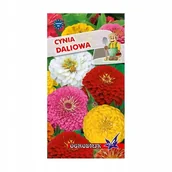 Nasiona i cebule - Cynia daliowa mieszanka 1g / O / - miniaturka - grafika 1
