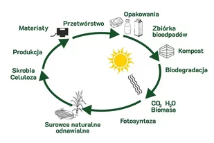 Słomki łamane zielone PLA 240x6,5mm 150szt - Worki na śmieci - miniaturka - grafika 2