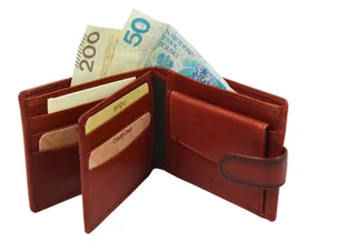 Portfel Męski Skórzany EL FORREST Średni Poziomy Z Zapięciem Jedno Skrzydełko 850 29 RFID BRĄZOWY 11.5 x 9 x 3 [cm] - Portfele - miniaturka - grafika 7