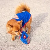 Zabawki dla psów - Disney For fun pets Szarpak sznur Superman 15 cm zabawka dla psa - miniaturka - grafika 1