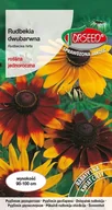 Nasiona i cebule - Nasiona Rudbekia dwubarwna żółtopom. z brun.- Torseed - miniaturka - grafika 1