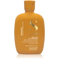 Szampony do włosów - Alfaparf Milano Semi di Lino Sunshine After-Sun, szampon do włosów po ekspozycji na słońce, 250ml - miniaturka - grafika 1