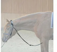 Akcesoria jeździeckie - Kavalkade Czambon skórzany - miniaturka - grafika 1