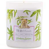 Świece - Ted & Friends sojowa świeca zapachowa w białym szkle 220 g - Verbena Lemon - miniaturka - grafika 1