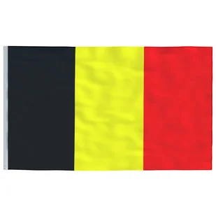 Flaga Belgii z masztem, 5,55 m, aluminium - Flagi i akcesoria - miniaturka - grafika 5