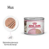 Mokra karma dla kotów - Royal Canin Babycat Instinctive Feline 195g puszka 231220 - miniaturka - grafika 1
