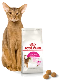 ROYAL CANIN  Exigent Aromatic Attraction 33 400g karma sucha dla kotów dorosłych, wybrednych, kierujących się zapachem  + niespodzianka dla kota GRATIS! - Sucha karma dla kotów - miniaturka - grafika 5
