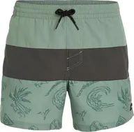 Kąpielówki męskie - O Neill Męskie Szorty MIX & MATCH CALI BLOCK 15'' SWIM SHORTS - miniaturka - grafika 1