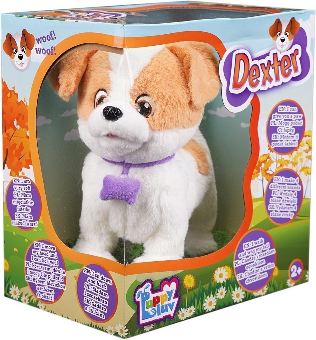 Tm Toys Interaktywny Piesek - Dexter EDUKAMP 5908273005027
