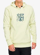 Bluzy sportowe męskie - Bluza z kapturem The North Face Tekno Logo Hoodie - nettle - miniaturka - grafika 1