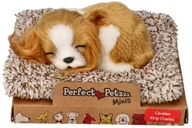 Zabawki interaktywne dla dzieci - Śpiący szczeniaczek Cavalier King Charles Perfect Petzzz - miniaturka - grafika 1