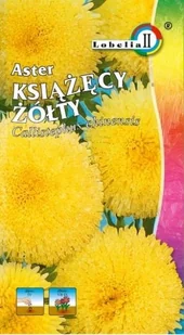 Aster książęcy żółty 1g / L / - Nasiona i cebule - miniaturka - grafika 1