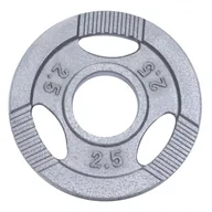 Obciążenia - Srebrne obciążenie żeliwne z uchwytami GRIP 2,5 kg 50/51 mm - miniaturka - grafika 1
