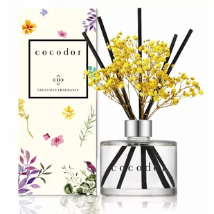 Dyfuzor zapachowy daffodil 200 ml vanilla &amp;amp; sandalwood pdi30926 kod: PDI30926 - Zapachy do domu - miniaturka - grafika 1