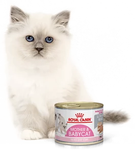 Royal Canin bytówka Babycat Instinctive Feline - 12 x 195g puszka - Mokra karma dla kotów - miniaturka - grafika 1