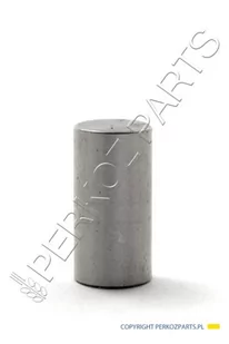 NEW HOLLAND CASE SWORZEŃ NEW HOLLAND / CASE 80280651 - Części i akcesoria do maszyn rolniczych - miniaturka - grafika 1