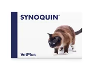 Suplementy i witaminy dla kotów - Efa Vet Plus Limited SYNOQUIN dla kota 30 tabletek 4420024 - miniaturka - grafika 1