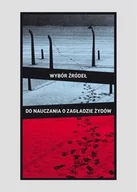 E-booki - historia - Wybór źródeł do nauczania o zagładzie Żydów na okupowanych ziemiach polskich - miniaturka - grafika 1