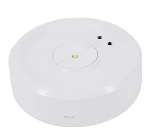 BEMKO C91-SKL-R-3SX-AT3H-CNBOP OPRAWA AWARYJNA SKALER OKRĄGŁA 3W BEZ SOCZEWKI IP40 AUTOTEST 3H CNBOP - Oprawy, klosze i abażury - miniaturka - grafika 1