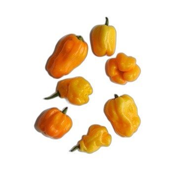 PAPRYKA OSTRA HABANERO ŻÓŁTA HOLANDIA 75G