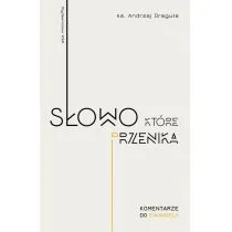 WAM Słowo, które przenika. Ewangelia dla każdego Andrzej Draguła - Religia i religioznawstwo - miniaturka - grafika 2