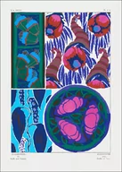 Plakaty - Vintage floral patterns, Art Nouveau, E. A. Séguy -  plakat Wymiar do wyboru: 50x70 cm - miniaturka - grafika 1