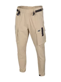 Spodnie sportowe męskie - 4F Spodnie w kolorze beżowym - grafika 1