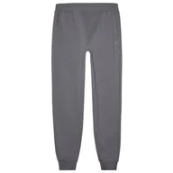 Spodnie sportowe męskie - Męskie spodnie dresowe 4F Trousers M0943 Rozmiar: XL / Kolor: szary - miniaturka - grafika 1