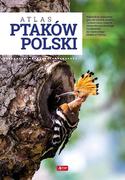 Słowniki języków obcych - Atlas Ptaków Polski Anna Przybyłowicz,łukasz Przybyłowicz - miniaturka - grafika 1