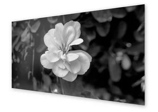 Panel kuchenny HOMEPRINT Biały kwiat na rozmytym tle 140x70 cm - Dekoracje domu - miniaturka - grafika 1