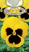 Nasiona i cebule - BRATEK OGRODOWY ŻÓŁTY Z PLAMĄ 0,5g - miniaturka - grafika 1