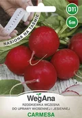 Nasiona i cebule - Rzodkiewka Carmesa nasiona na taśmie 6 m - WegAna - miniaturka - grafika 1