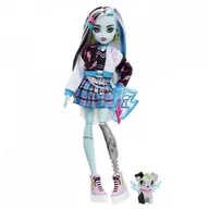 Lalki dla dziewczynek - Lalka Monster High Frankie Stein - miniaturka - grafika 1