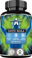 Suplementy naturalne - APOLLO'S HEGEMONY GOTU KOLA WĄKROTKA AZJATYCKA 100 KAPSUŁEK - miniaturka - grafika 1