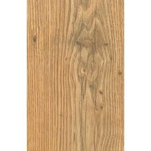 Krono Original Panel podłogowy Kasztan Tawny AC4 10 mm - Panele podłogowe - miniaturka - grafika 1