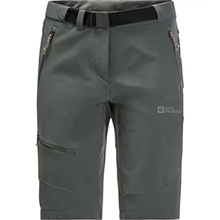 Jack Wolfskin Ziegspitz szorty Slate Green 42 - Spodenki damskie - miniaturka - grafika 1