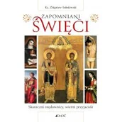Religia i religioznawstwo - Zapomniani święci. Skuteczni orędownicy, wierni przyjaciele - miniaturka - grafika 1