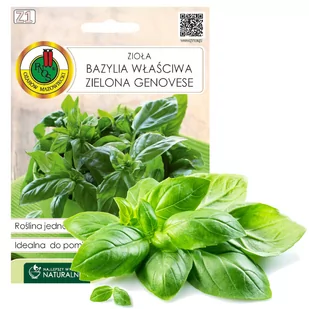 Nasiona bazylia - Nasiona i cebule - miniaturka - grafika 1