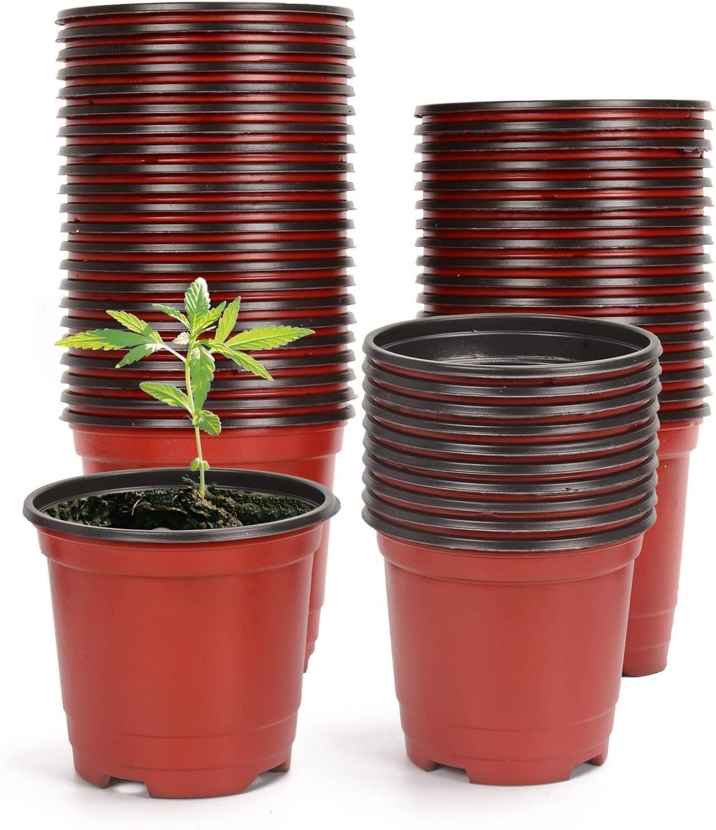 Opakowanie 50 grubych plastikowych doniczek, 10 cm doniczka do sadzenia nasion, doniczka do kwiatów, pojemnik na sadzonki, warzywa, sukulenty, brązowy
