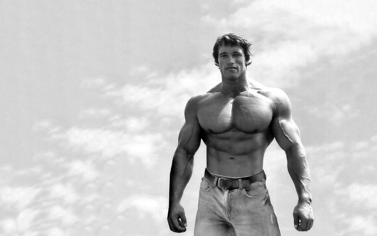 PUZZLE Arnold Schwarzenegger Kulturysta + IMIĘ Pudełko 120 el.