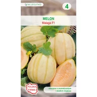 Nasiona i cebule - Melon Malaga F1 nasiona 0.5g W. Legutko - miniaturka - grafika 1