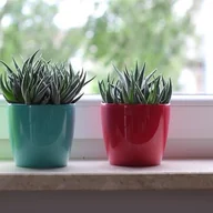 Donice - Pigmejka PIGMEJKA Osłonka do  kwiatów Magnolia, biała perła, 155x155x137 mm - miniaturka - grafika 1