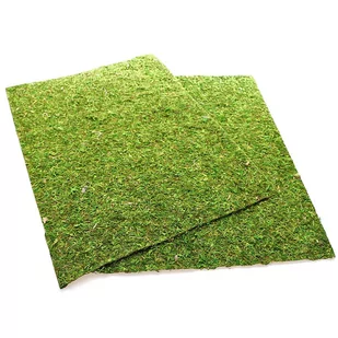 Repti-Zoo Natural Moss Tło I Podłoże Z Mchu 50X25 - Akcesoria do terrarium - miniaturka - grafika 1