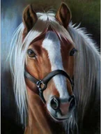 Zabawki kreatywne - Diamentowa Mozaika 80x40 Koń Z Jasną Grzywą Portret - miniaturka - grafika 1