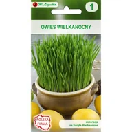 Nasiona i cebule - Nasiona Owies wielkanocny 20 g - miniaturka - grafika 1
