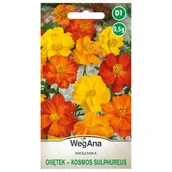 Nasiona i cebule - Onętek Kosmos Sulphureus mieszanka nasiona 0,5g - WegAna - miniaturka - grafika 1