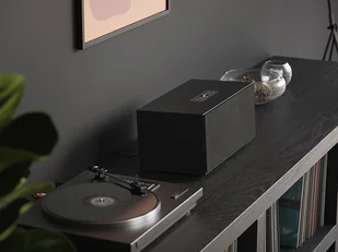 Audio Pro C20 - Głośniki i kolumny - miniaturka - grafika 10