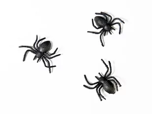 Party Deco Pająki plastikowe czarne na Halloween - 10 szt. PHK10 - Halloween - miniaturka - grafika 1