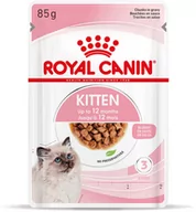 Mokra karma dla kotów - Royal Canin Kitten w sosie - 12 x 85 g - miniaturka - grafika 1