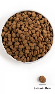 ORIJEN Puppy Large 6kg - Sucha karma dla psów - miniaturka - grafika 4